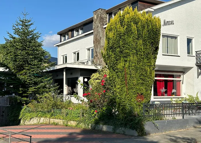 Mimosa Hotel